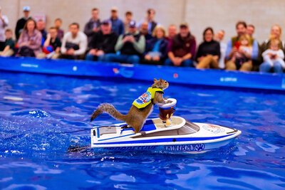 New England Boat Show